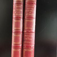 Louis FIGUIER : La Vie et les moeurs des animaux - Les poissons les reptiles et les oiseaux, deuxième édition, chez Hachette 1869 + La Terre avant le déluge, septième édition, chez Hachette 1874.